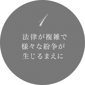 1 法律が複雑で様々な紛争が生じるまえに